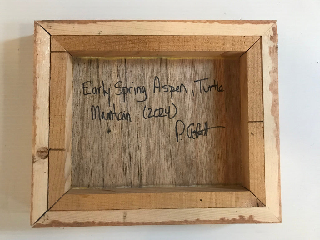 "Early Spring, Aspen, Turtle Mnt" (2024)