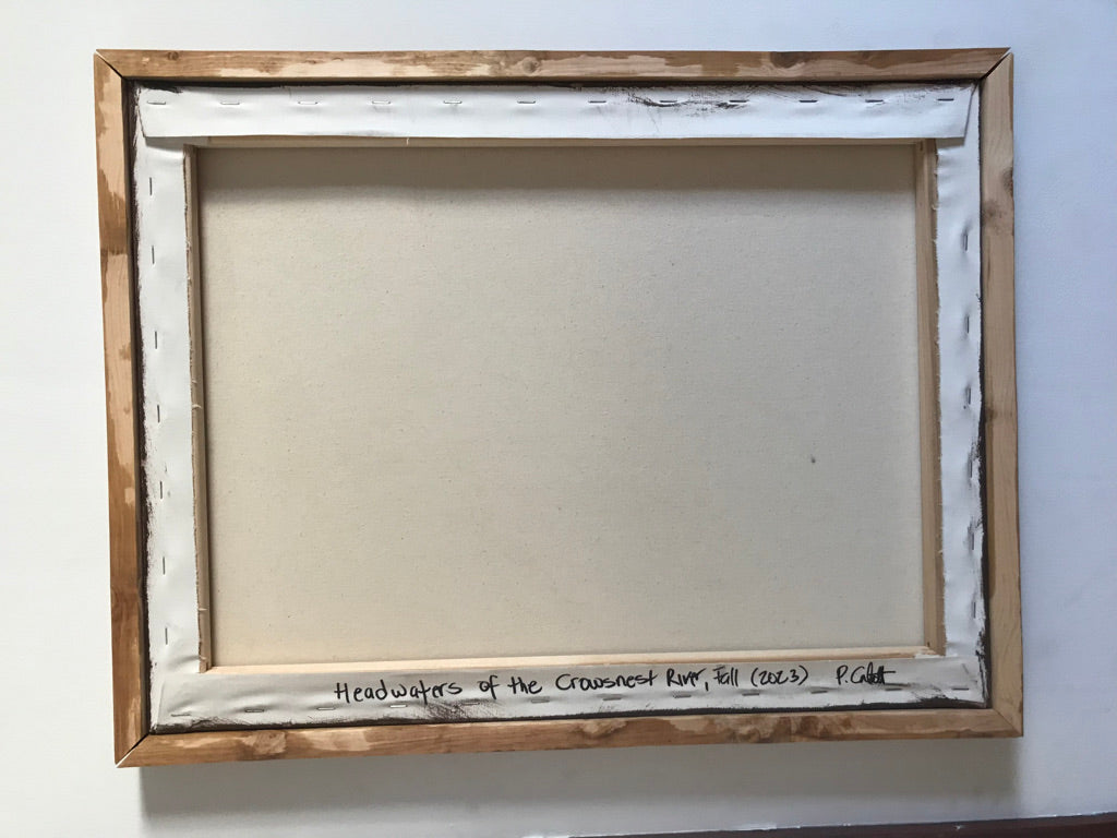 "Headwaters of the Crowsnest River, Fall" (2023)