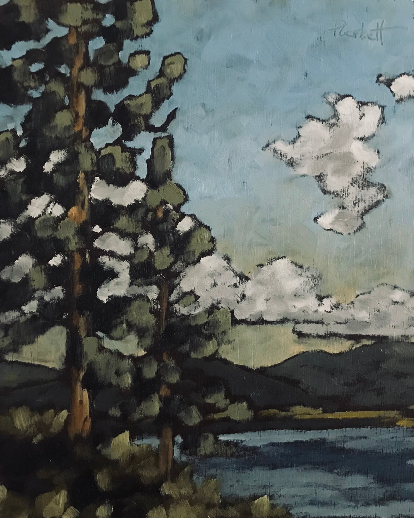 Ponderosa Pine, Okanagan Lake
