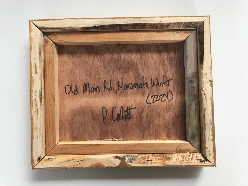 Old Main Road, Naramata Winter