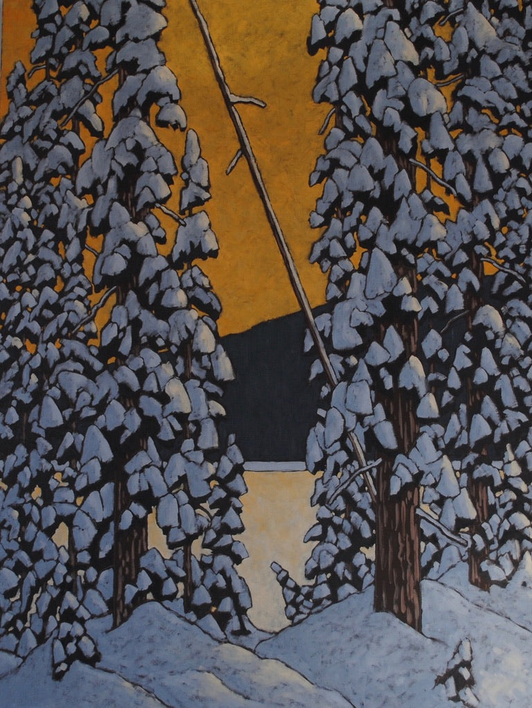 Evening Light and Trees