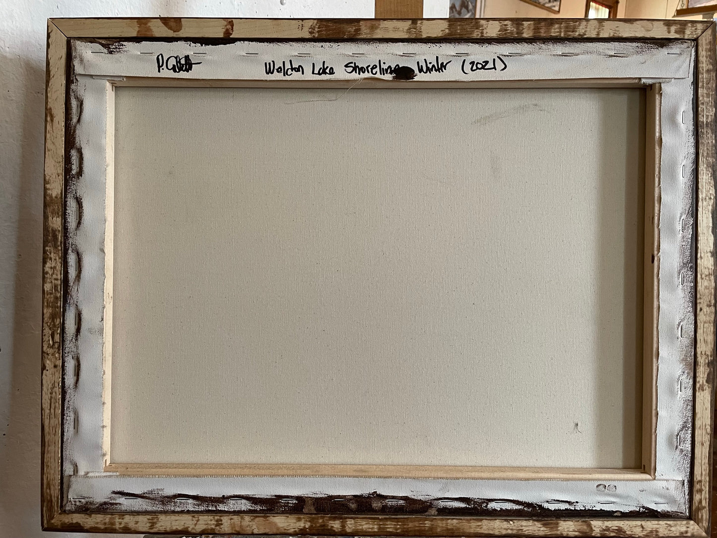 Weldon Lake Shoreline