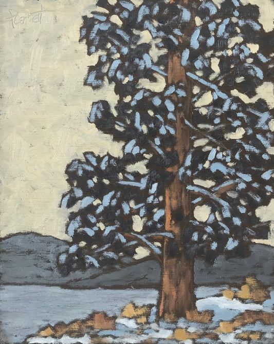 Snow Covered Pine, Okanagan