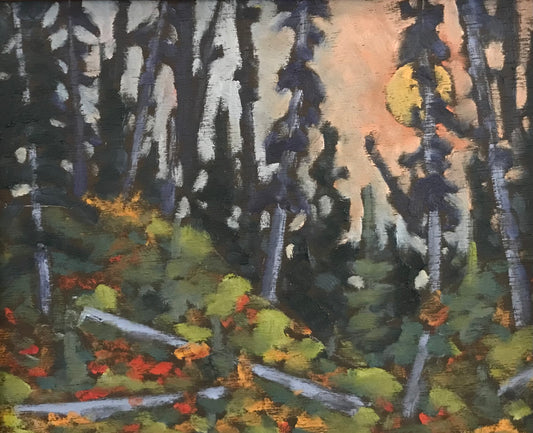 Smoky Sky, Forest and Mountain Ash, Cariboos